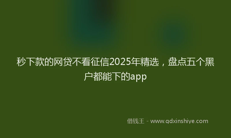 秒下款的网贷不看征信2025年精选，盘点五个黑户都能下的app