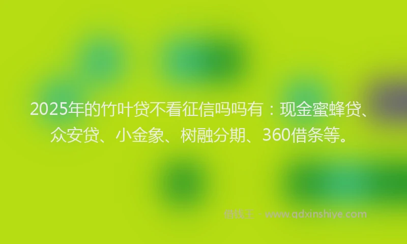 2025年的竹叶贷不看征信吗吗有：现金蜜蜂贷、众安贷、小金象、树融分期、360借条等。