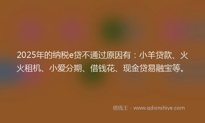 2025年的纳税e贷不通过原因有：小羊贷款、火火租机、小爱分期、借钱花、现金贷易融宝等。