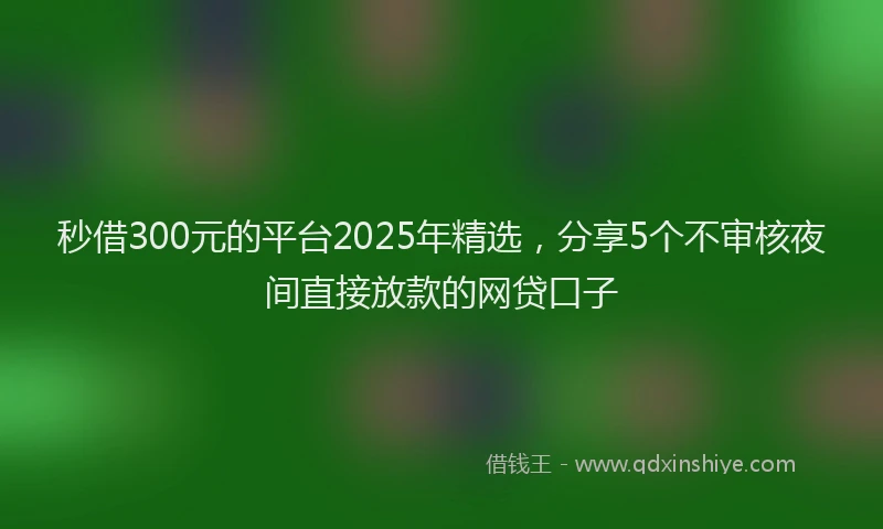 秒借300元的平台2025年精选，分享5个不审核夜间直接放款的网贷口子