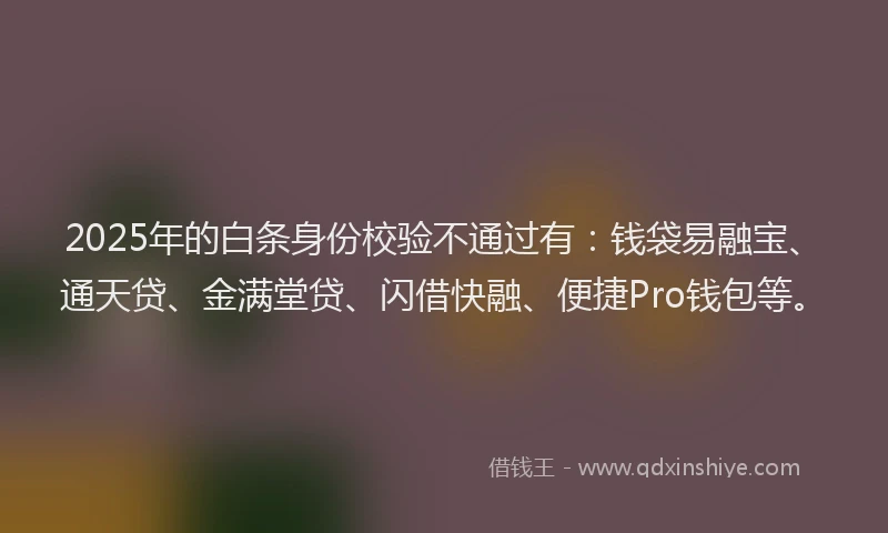 2025年的白条身份校验不通过有：钱袋易融宝、通天贷、金满堂贷、闪借快融、便捷Pro钱包等。