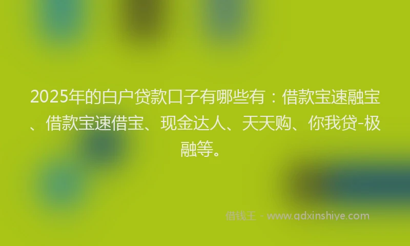 2025年的白户贷款口子有哪些有：借款宝速融宝、借款宝速借宝、现金达人、天天购、你我贷-极融等。