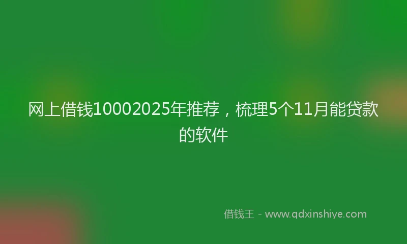 网上借钱10002025年推荐，梳理5个11月能贷款的软件