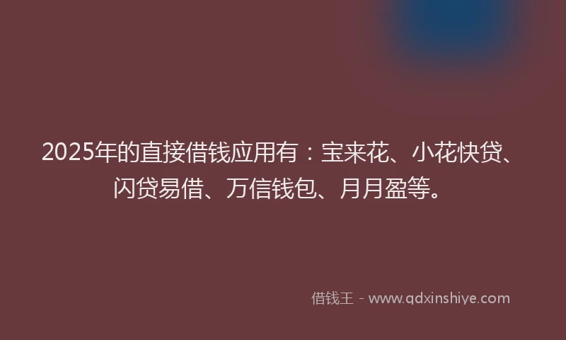 2025年的直接借钱应用有：宝来花、小花快贷、闪贷易借、万信钱包、月月盈等。