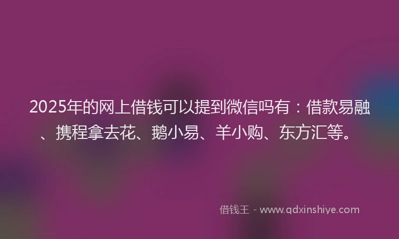 2025年的网上借钱可以提到微信吗有：借款易融、携程拿去花、鹅小易、羊小购、东方汇等。