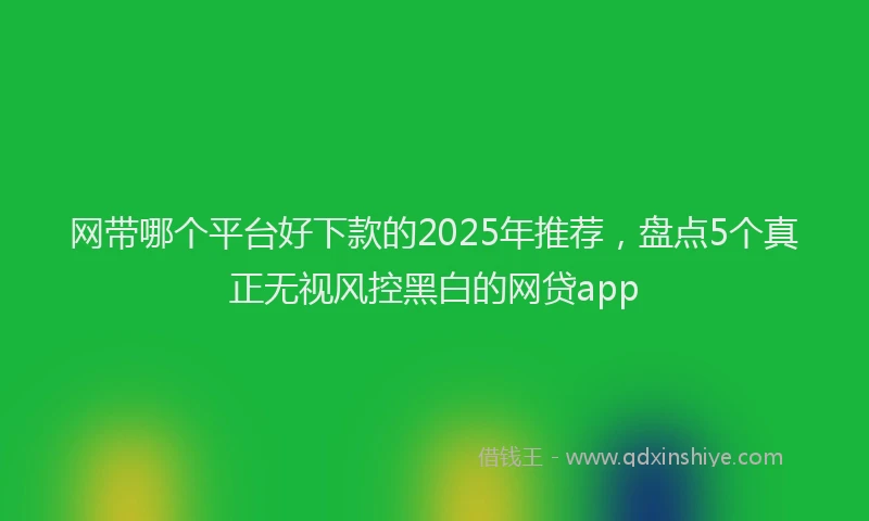 网带哪个平台好下款的2025年推荐，盘点5个真正无视风控黑白的网贷app
