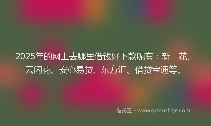 2025年的网上去哪里借钱好下款呢有：新一花、云闪花、安心易贷、东方汇、借贷宝通等。