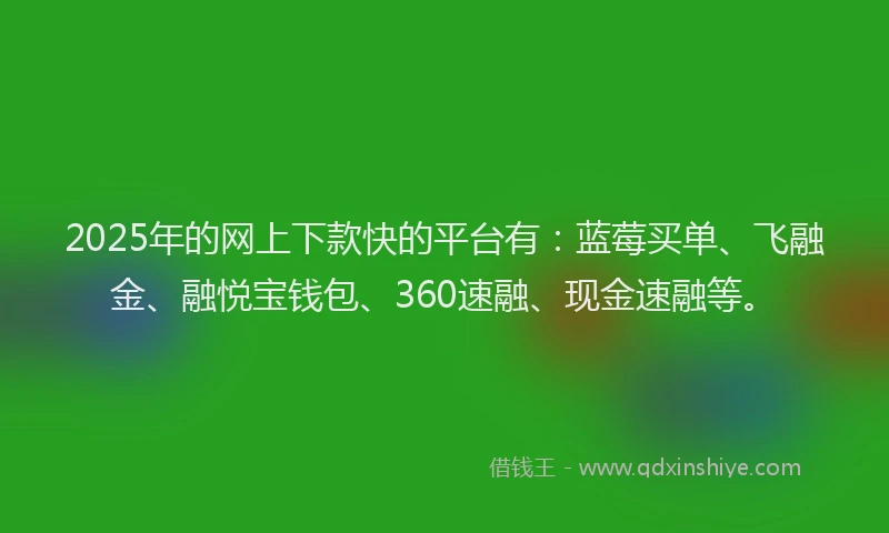 2025年的网上下款快的平台有：蓝莓买单、飞融金、融悦宝钱包、360速融、现金速融等。