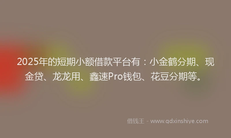 2025年的短期小额借款平台有：小金鹤分期、现金贷、龙龙用、鑫速Pro钱包、花豆分期等。