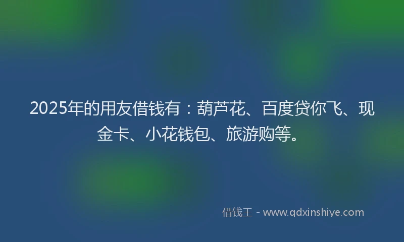 2025年的用友借钱有：葫芦花、百度贷你飞、现金卡、小花钱包、旅游购等。