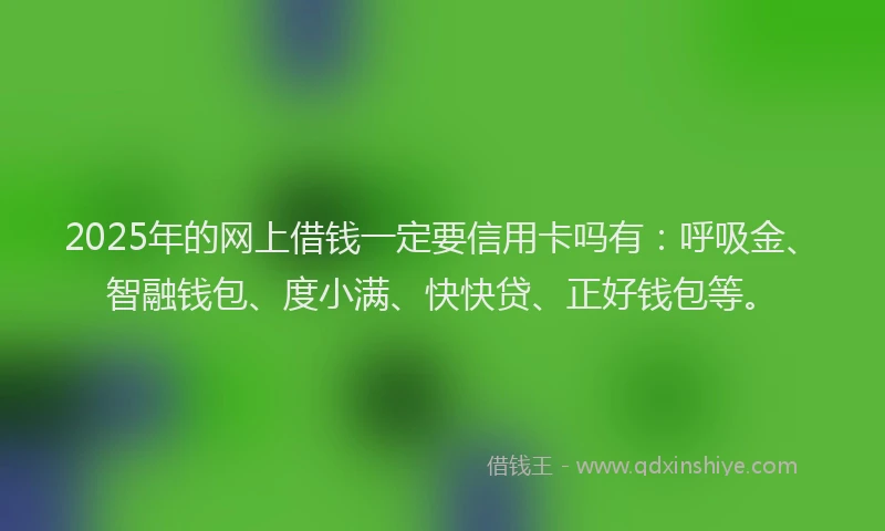 2025年的网上借钱一定要信用卡吗有：呼吸金、智融钱包、度小满、快快贷、正好钱包等。