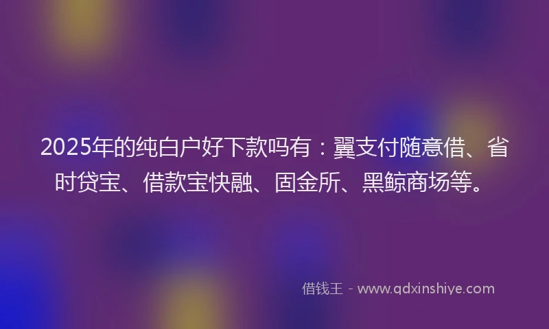 2025年的纯白户好下款吗有：翼支付随意借、省时贷宝、借款宝快融、固金所、黑鲸商场等。