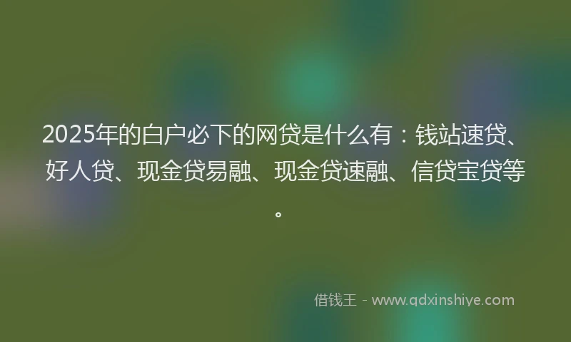2025年的白户必下的网贷是什么有：钱站速贷、好人贷、现金贷易融、现金贷速融、信贷宝贷等。