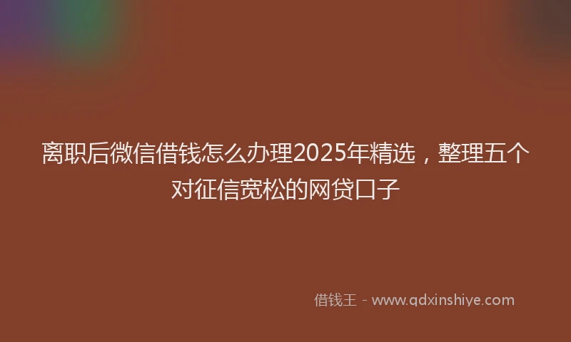 离职后微信借钱怎么办理2025年精选，整理五个对征信宽松的网贷口子