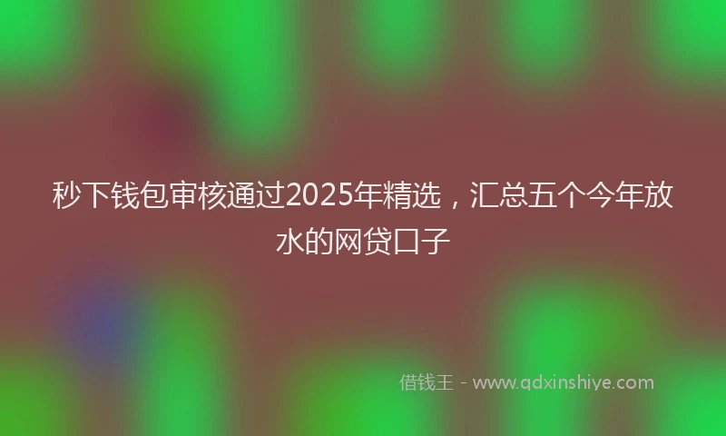 秒下钱包审核通过2025年精选，汇总五个今年放水的网贷口子