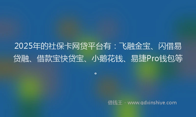 2025年的社保卡网贷平台有：飞融金宝、闪借易贷融、借款宝快贷宝、小鹅花钱、易捷Pro钱包等。