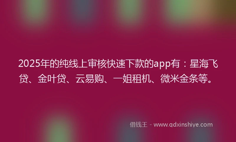 2025年的纯线上审核快速下款的app有：星海飞贷、金叶贷、云易购、一姐租机、微米金条等。