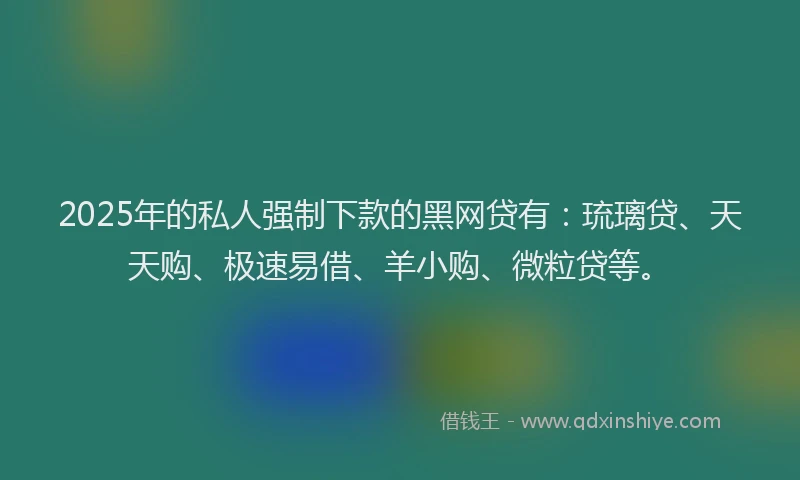 2025年的私人强制下款的黑网贷有：琉璃贷、天天购、极速易借、羊小购、微粒贷等。