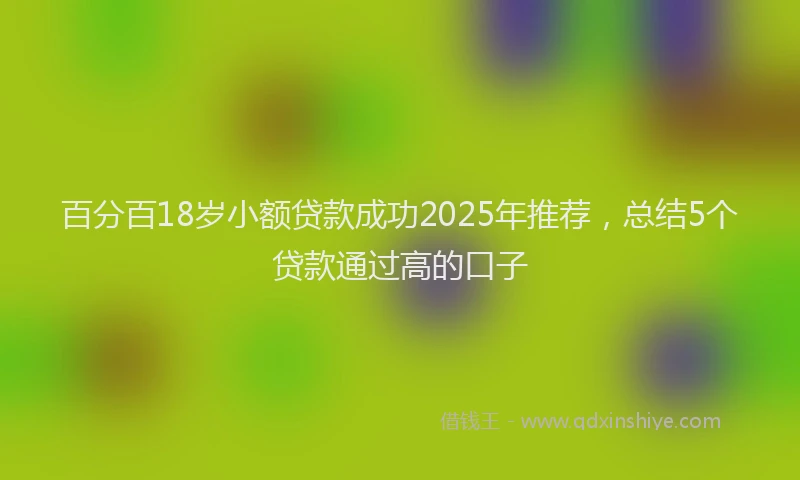 百分百18岁小额贷款成功2025年推荐，总结5个贷款通过高的口子