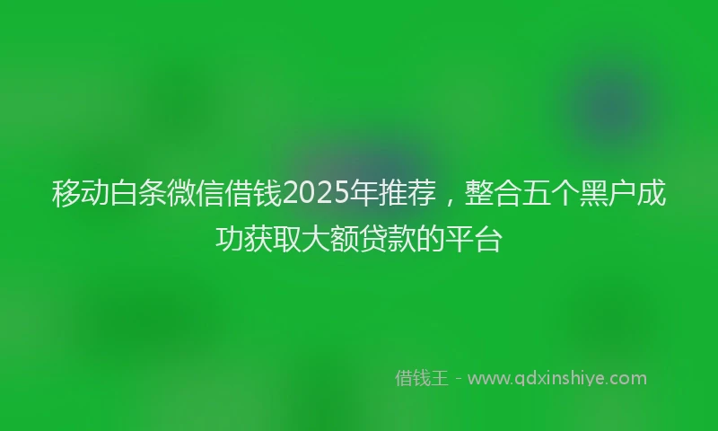 移动白条微信借钱2025年推荐，整合五个黑户成功获取大额贷款的平台