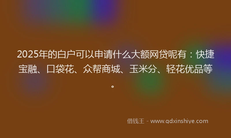 2025年的白户可以申请什么大额网贷呢有：快捷宝融、口袋花、众帮商城、玉米分、轻花优品等。