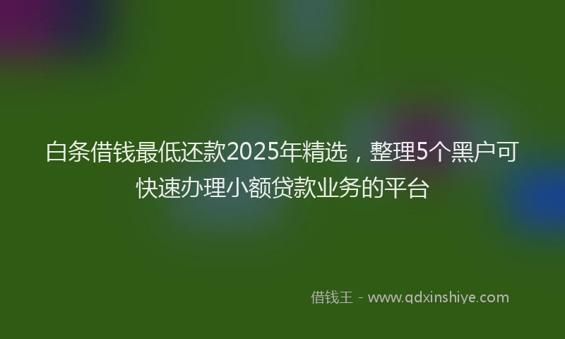 白条借钱最低还款2025年精选，整理5个黑户可快速办理小额贷款业务的平台