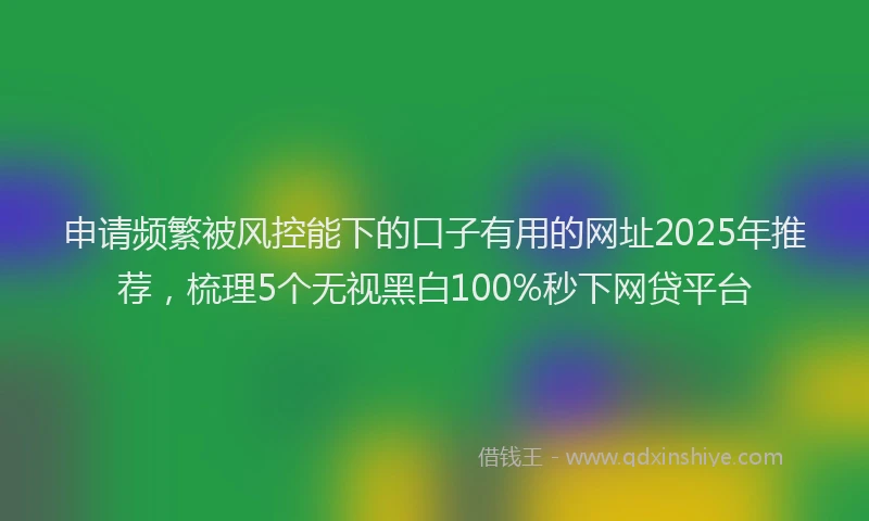 申请频繁被风控能下的口子有用的网址2025年推荐，梳理5个无视黑白100%秒下网贷平台