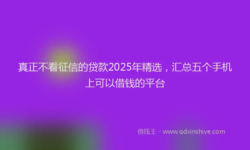 真正不看征信的贷款2025年精选，汇总五个手机上可以借钱的平台