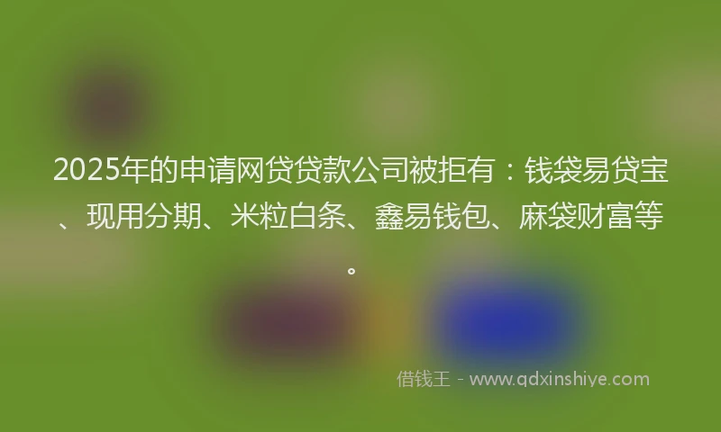 2025年的申请网贷贷款公司被拒有：钱袋易贷宝、现用分期、米粒白条、鑫易钱包、麻袋财富等。
