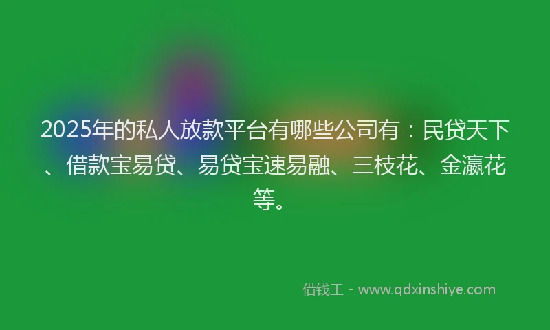 2025年的私人放款平台有哪些公司有：民贷天下、借款宝易贷、易贷宝速易融、三枝花、金瀛花等。