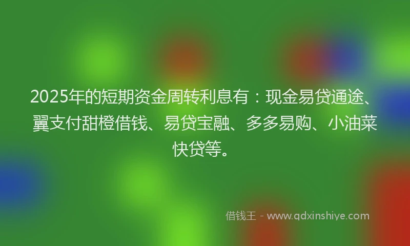 2025年的短期资金周转利息有：现金易贷通途、翼支付甜橙借钱、易贷宝融、多多易购、小油菜快贷等。