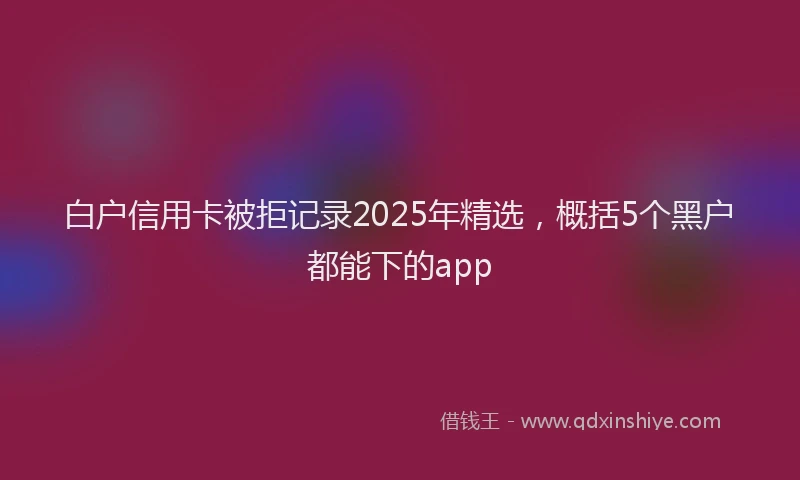 白户信用卡被拒记录2025年精选，概括5个黑户都能下的app