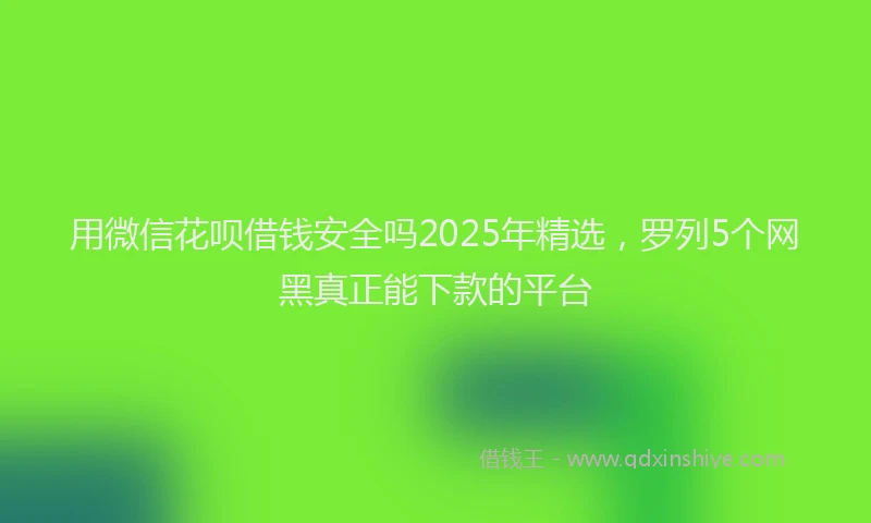 用微信花呗借钱安全吗2025年精选，罗列5个网黑真正能下款的平台