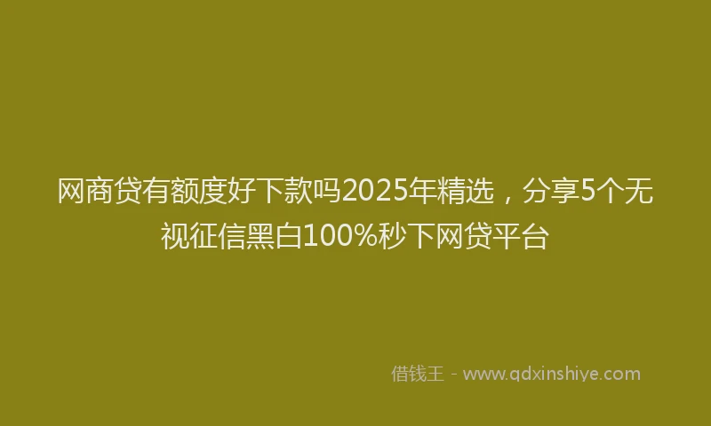 网商贷有额度好下款吗2025年精选，分享5个无视征信黑白100%秒下网贷平台