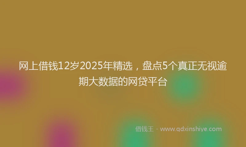 网上借钱12岁2025年精选，盘点5个真正无视逾期大数据的网贷平台