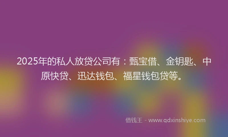 2025年的私人放贷公司有：甄宝借、金钥匙、中原快贷、迅达钱包、福星钱包贷等。
