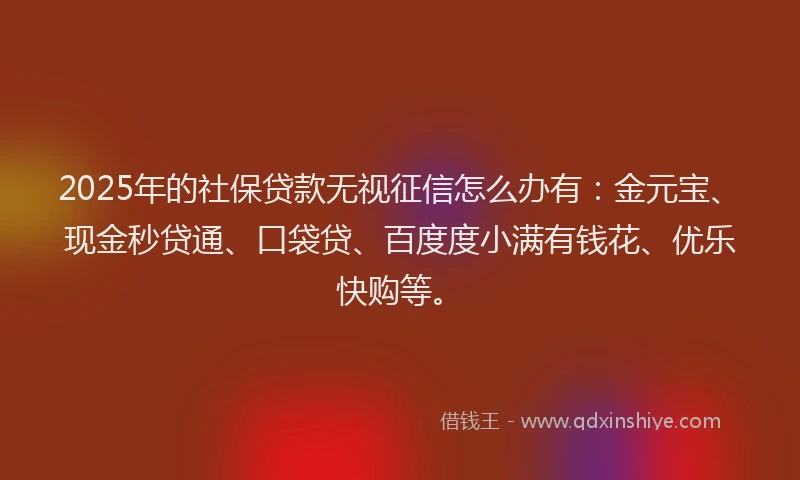2025年的社保贷款无视征信怎么办有：金元宝、现金秒贷通、口袋贷、百度度小满有钱花、优乐快购等。