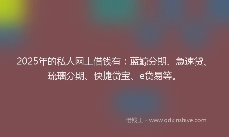 2025年的私人网上借钱有：蓝鲸分期、急速贷、琉璃分期、快捷贷宝、e贷易等。