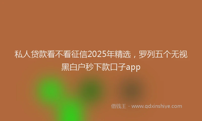 私人贷款看不看征信2025年精选，罗列五个无视黑白户秒下款口子app