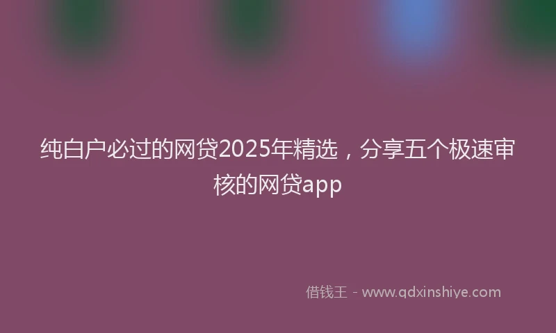 纯白户必过的网贷2025年精选，分享五个极速审核的网贷app