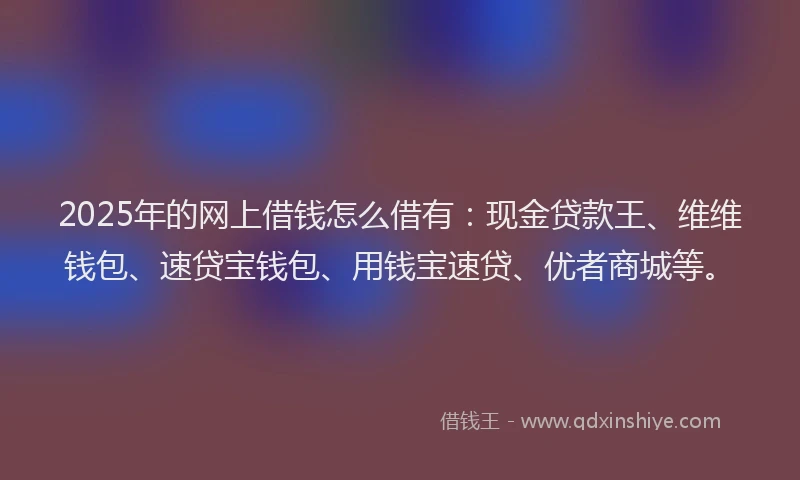2025年的网上借钱怎么借有：现金贷款王、维维钱包、速贷宝钱包、用钱宝速贷、优者商城等。