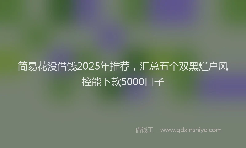 简易花没借钱2025年推荐，汇总五个双黑烂户风控能下款5000口子