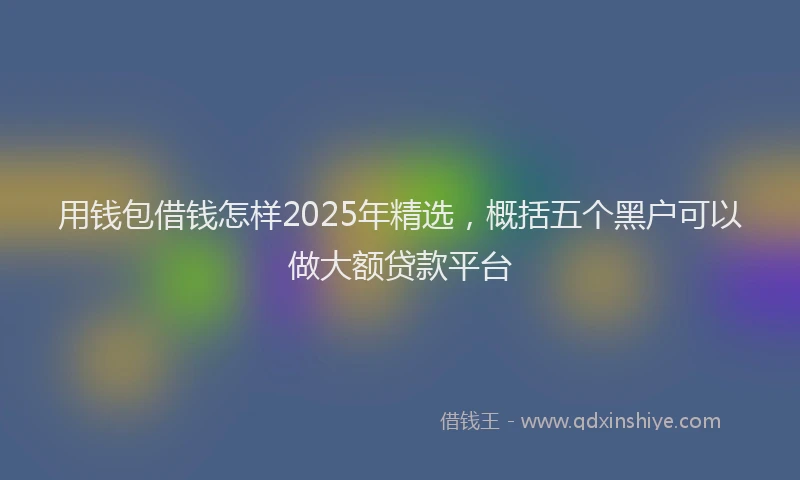 用钱包借钱怎样2025年精选，概括五个黑户可以做大额贷款平台