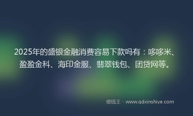 2025年的盛银金融消费容易下款吗有：哆哆米、盈盈金科、海印金服、翡翠钱包、团贷网等。