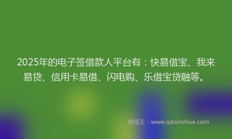 2025年的电子签借款人平台有：快易借宝、我来易贷、信用卡易借、闪电购、乐借宝贷融等。