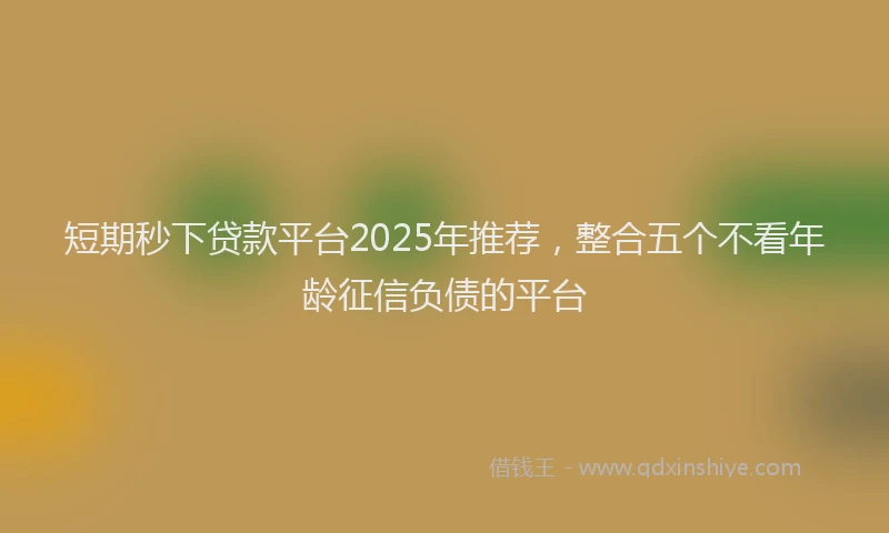 短期秒下贷款平台2025年推荐，整合五个不看年龄征信负债的平台