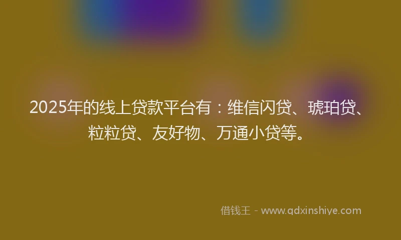 2025年的线上贷款平台有：维信闪贷、琥珀贷、粒粒贷、友好物、万通小贷等。