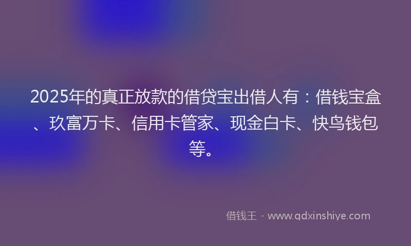 2025年的真正放款的借贷宝出借人有：借钱宝盒、玖富万卡、信用卡管家、现金白卡、快鸟钱包等。
