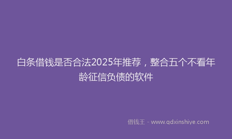 白条借钱是否合法2025年推荐，整合五个不看年龄征信负债的软件