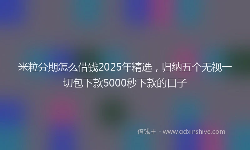 米粒分期怎么借钱2025年精选，归纳五个无视一切包下款5000秒下款的口子